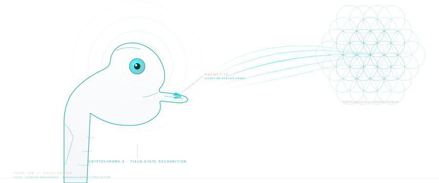 Plate QN I · Field Compass